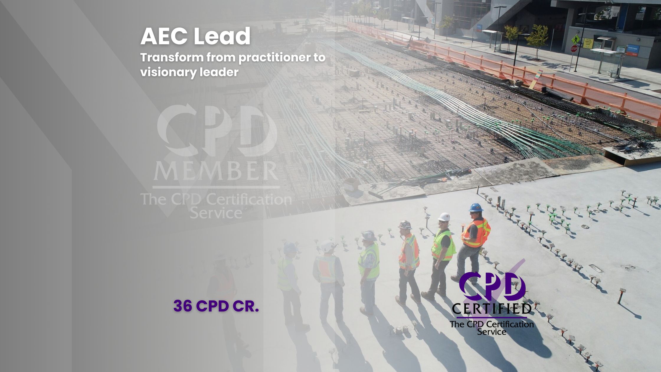 AEC Lead