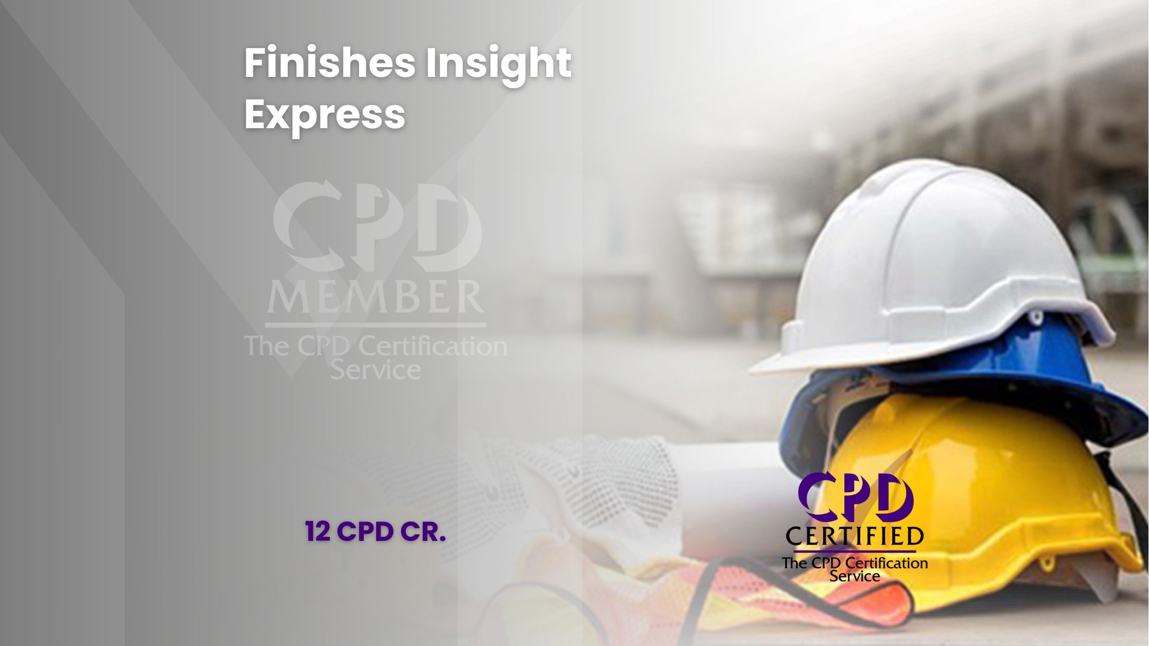 FINISHES INSIGHT EXPRESS